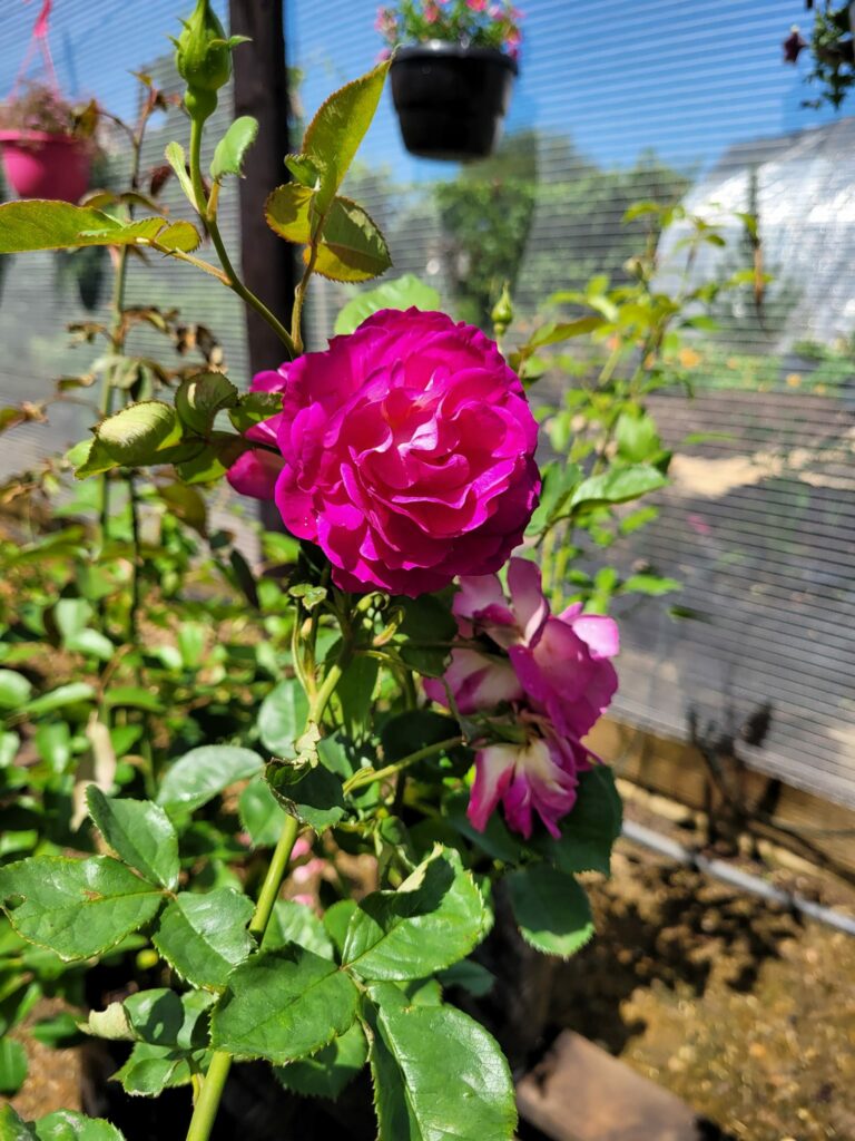 Carls Garden and the Vaal Meander