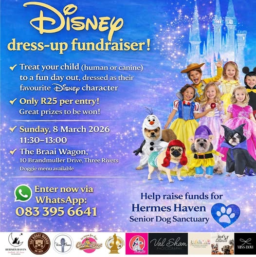 vaal meander disney dress up fundraiser at braai wagon in vereeniging